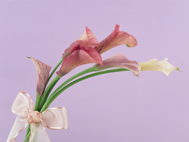 imagephoto flower-bouquet
